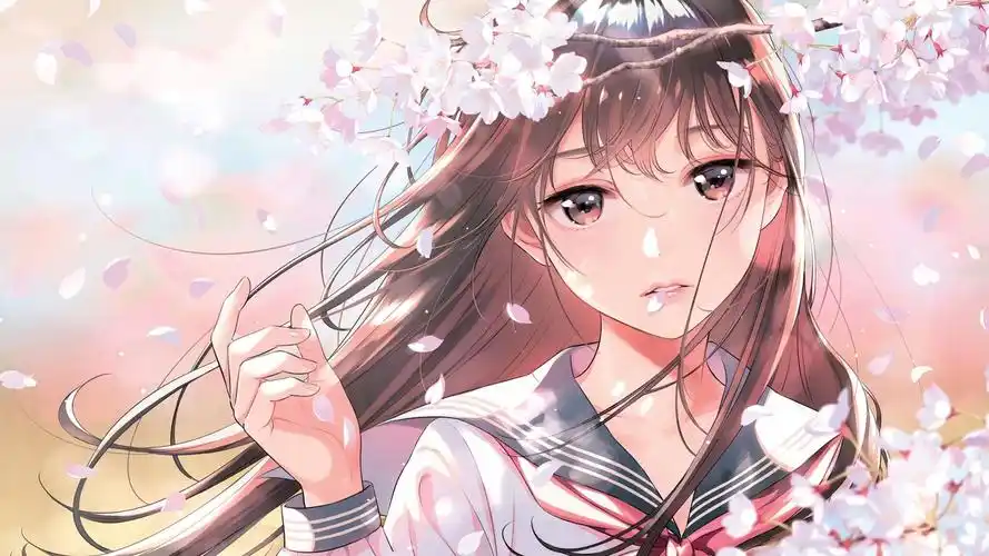 钢铁新番 樱花暴风